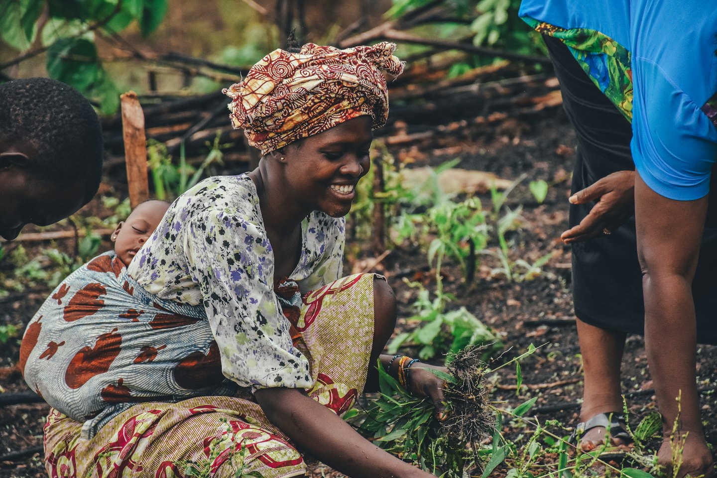 Woman with baby on back holds plants in a field with others.