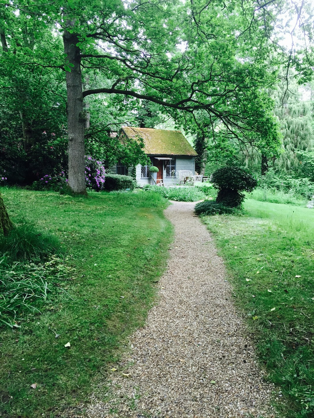 Gravel path leads to a moss-roofed cottage in a green garden.