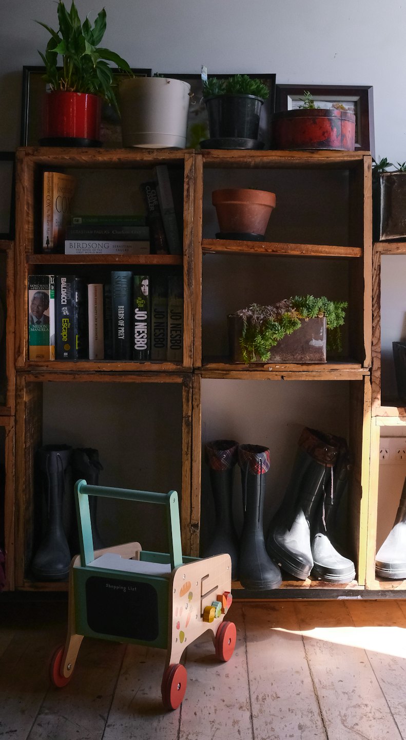 Wooden shelves holding plants, books, and rubber boots.
