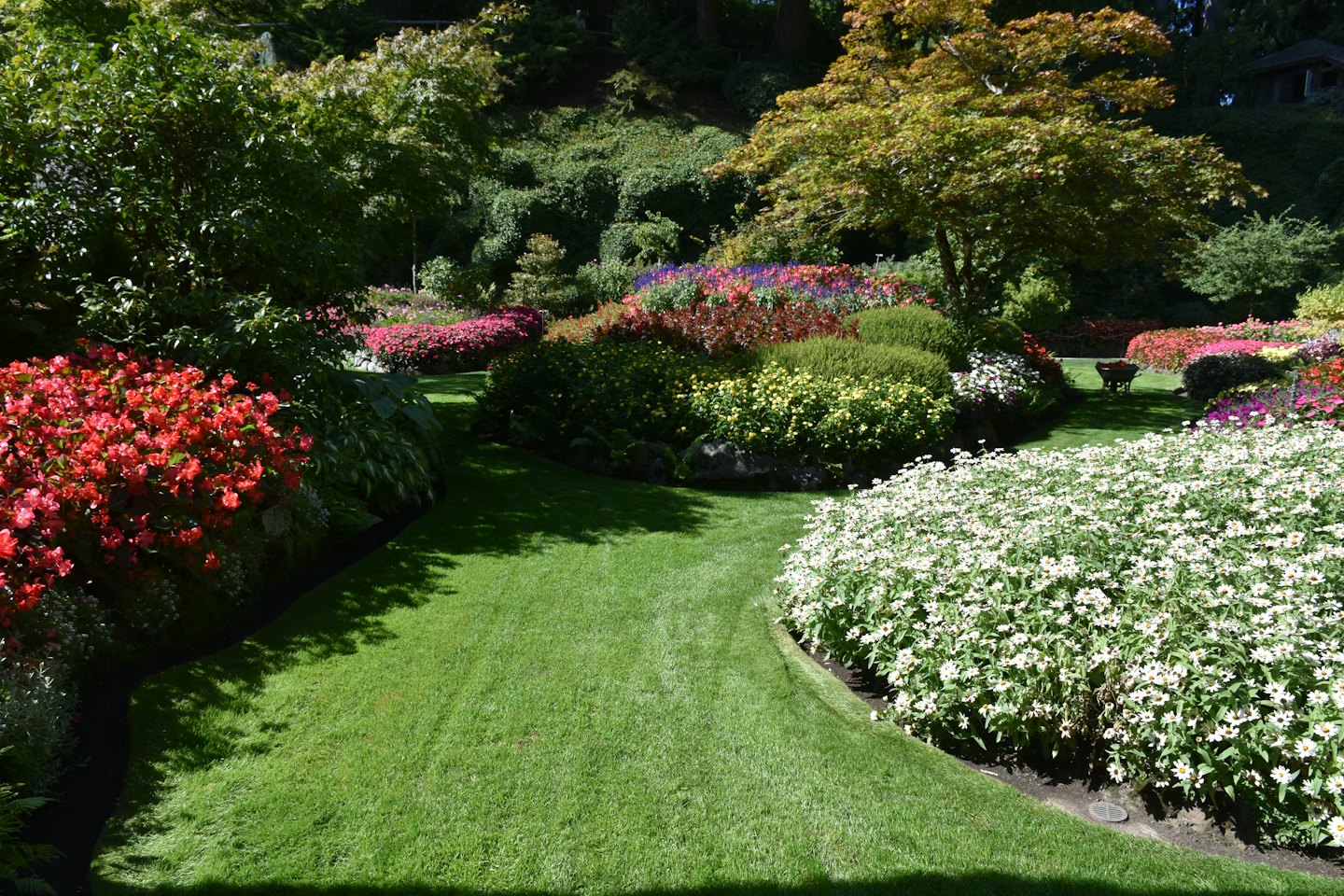 Curving garden paths wind through beds of colorful flowers and green foliage.